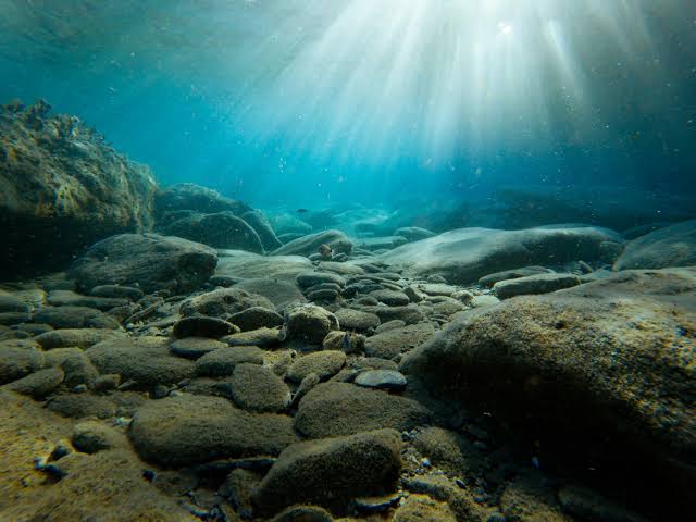 Why Oceans Are Getting Darker: The Alarming Truth Beneath the Surface